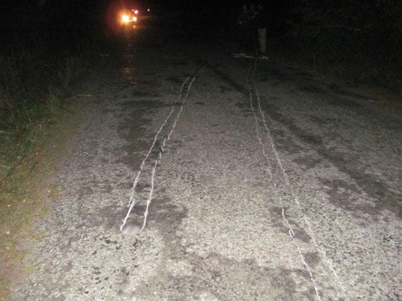 На Чернігівщині п'яний водій збив трьох дітей: одна дитина загинула на місці