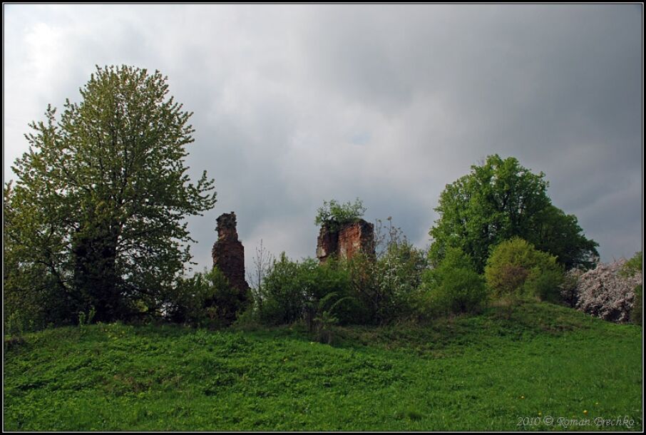Незвідана Україна: топ-5 замків Львівщини, які не показують туристам