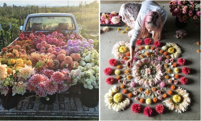 Цветочная фея из США показала фото своих растений