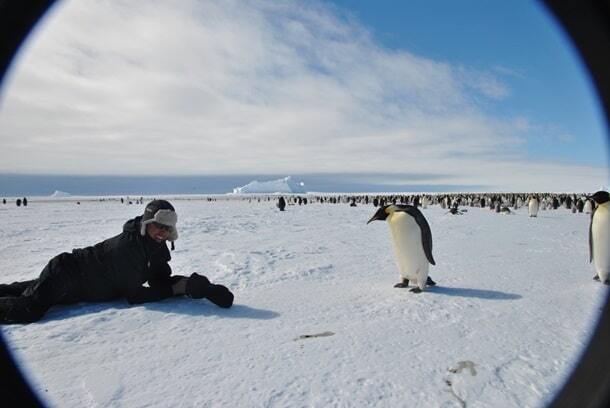 Пингвины, холод, лёд: показали роскошный антарктический "отель"