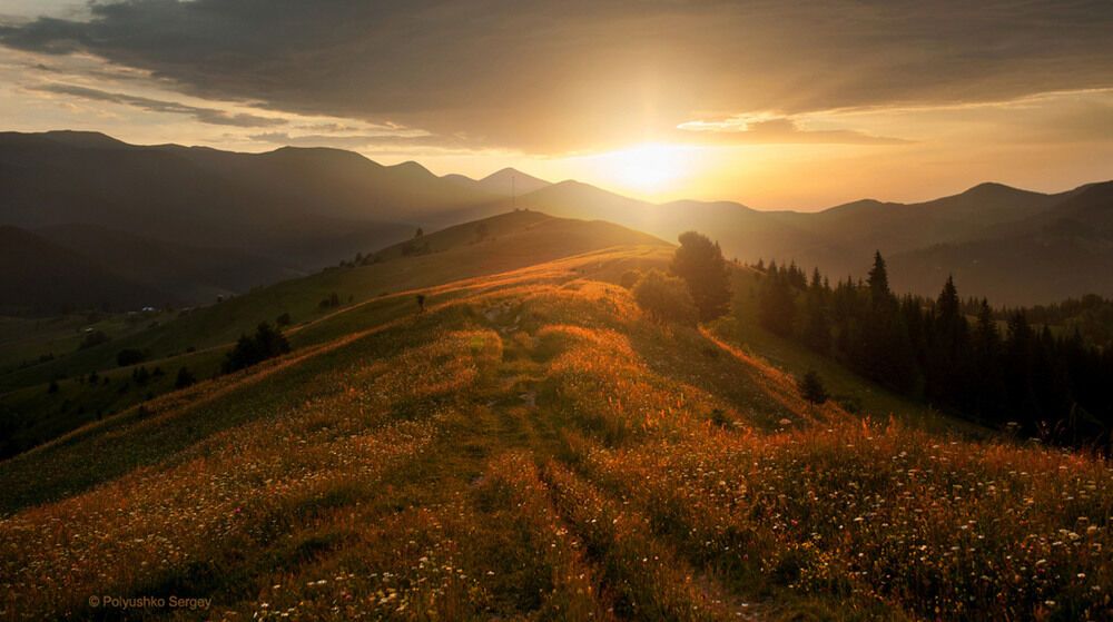 Літо-2016: опубліковано 50 неймовірних українських пейзажів 