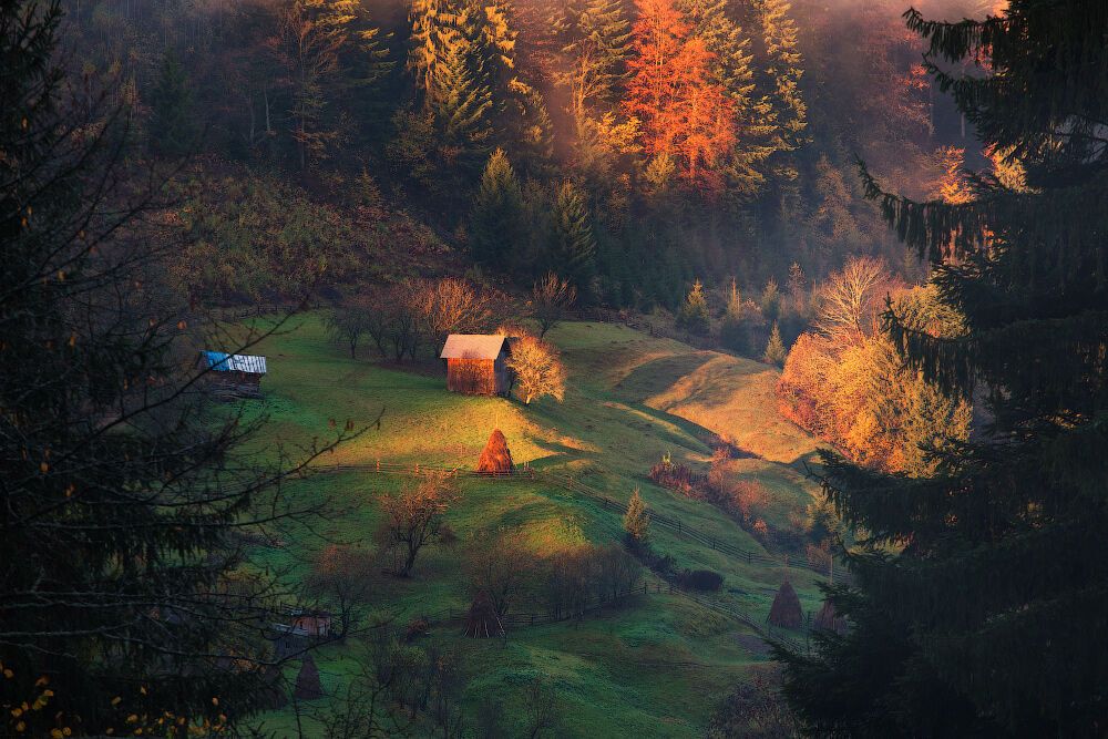 Літо-2016: опубліковано 50 неймовірних українських пейзажів 