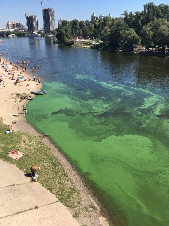 "Страшно красиво": в Киеве зацвела вода в Днепре. Опубликованы фото