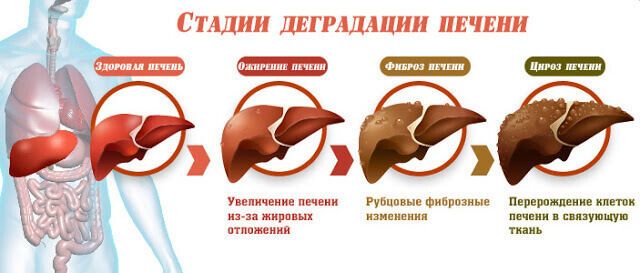 Полная несовместимость: почему нельзя закусывать алкоголь десертами 