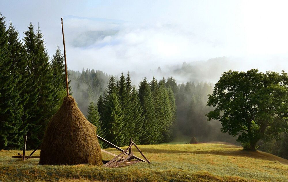 Літо-2016: опубліковано 50 неймовірних українських пейзажів 