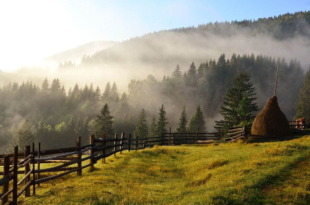 Літо-2016: опубліковано 50 неймовірних українських пейзажів 