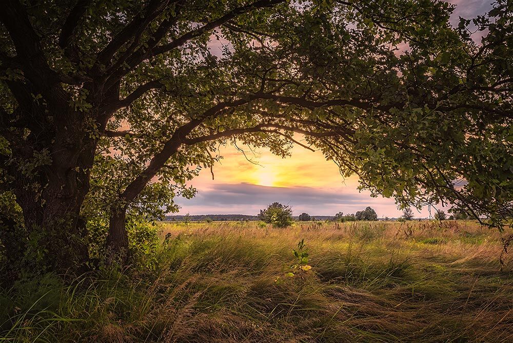 Літо-2016: опубліковано 50 неймовірних українських пейзажів 