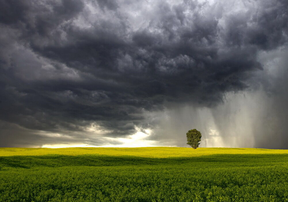 Літо-2016: опубліковано 50 неймовірних українських пейзажів 