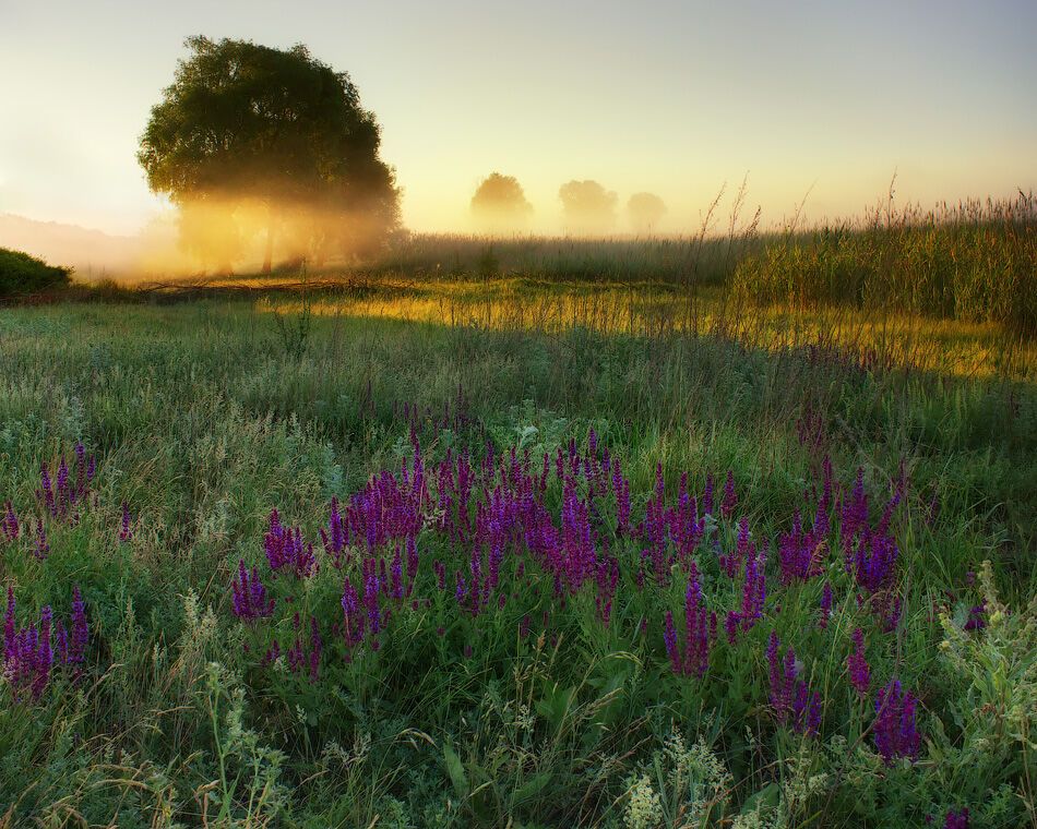 Літо-2016: опубліковано 50 неймовірних українських пейзажів 