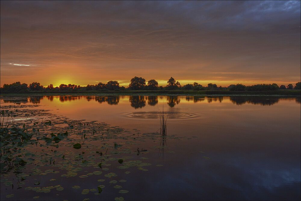 Літо-2016: опубліковано 50 неймовірних українських пейзажів 