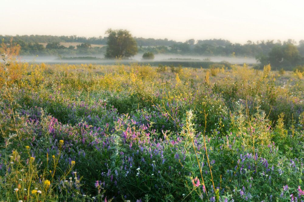 Літо-2016: опубліковано 50 неймовірних українських пейзажів 