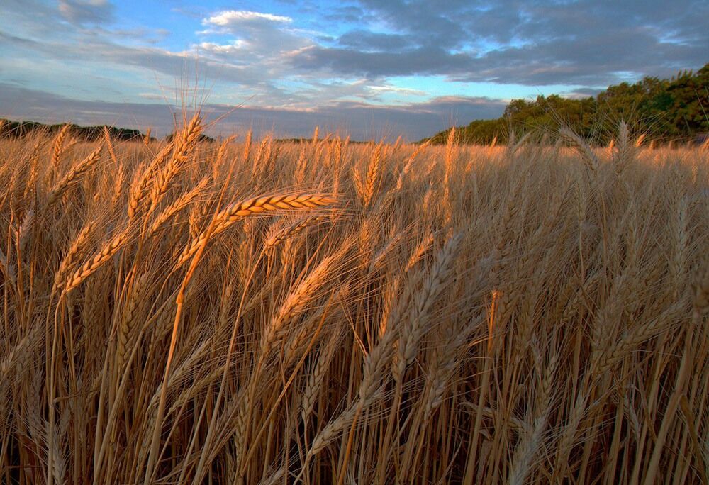 Літо-2016: опубліковано 50 неймовірних українських пейзажів 