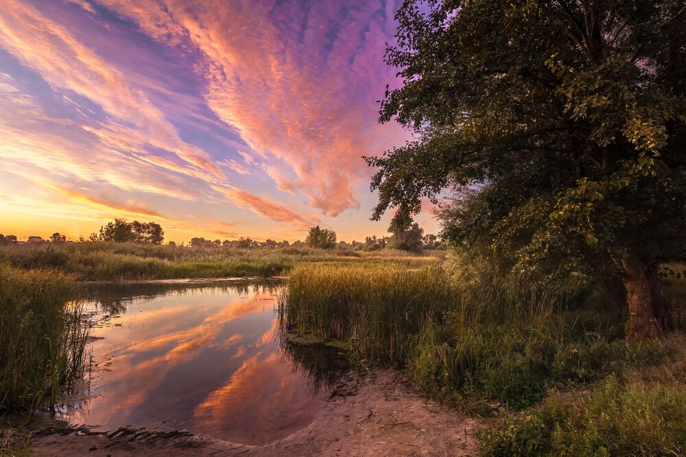 Літо-2016: опубліковано 50 неймовірних українських пейзажів 