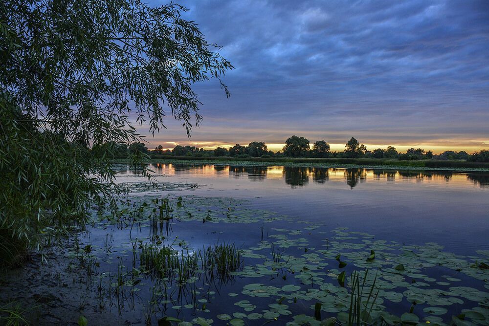 Літо-2016: опубліковано 50 неймовірних українських пейзажів 