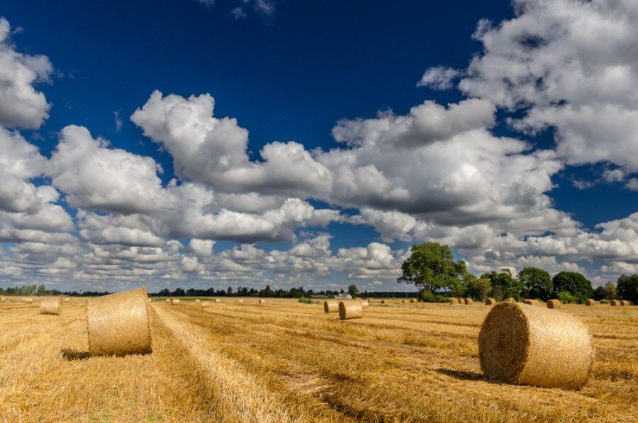 Літо-2016: опубліковано 50 неймовірних українських пейзажів 