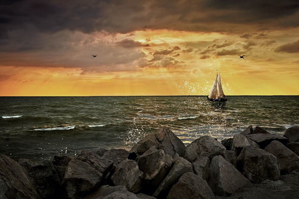 Літо-2016: опубліковано 50 неймовірних українських пейзажів 