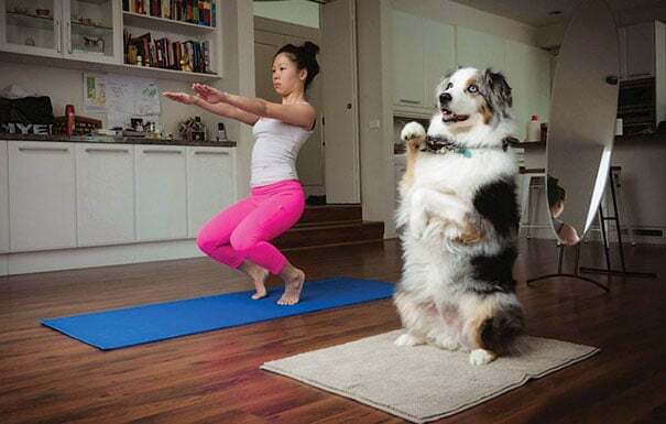 Забавные животные, которые обожают йогу: опубликованы фото