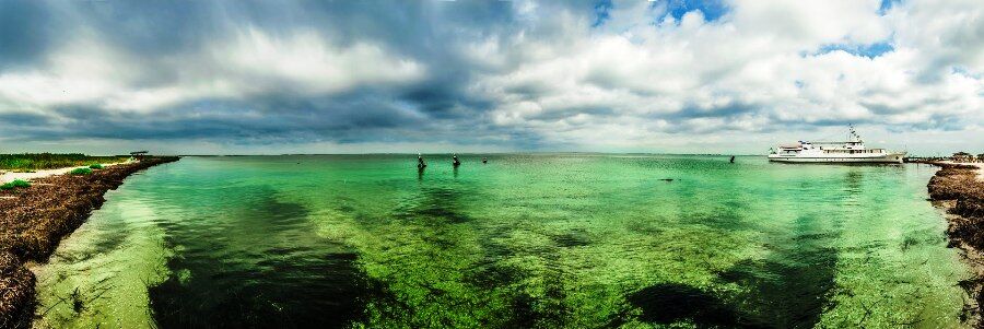 Мальовничий острів Джарилгач - оазис дикої природи посеред Чорного моря 