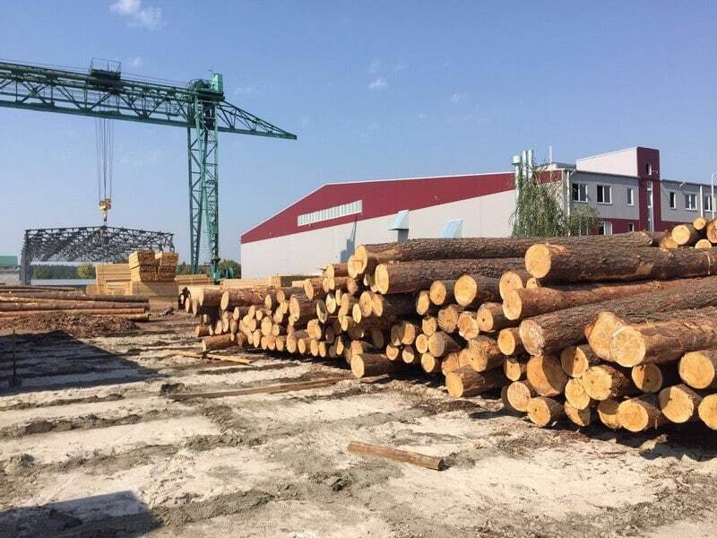 СБУ раскрыла масштабные махинации с экспортом леса
