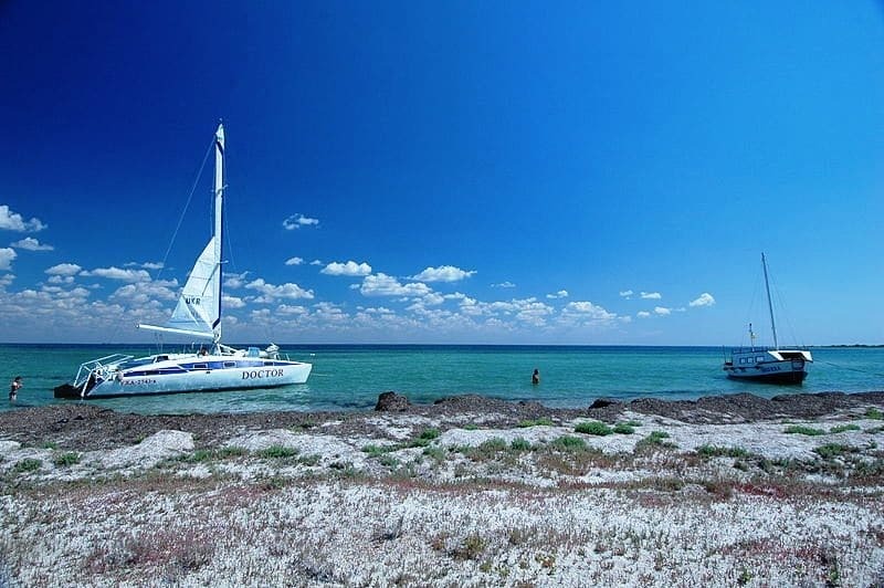 Мальовничий острів Джарилгач - оазис дикої природи посеред Чорного моря 