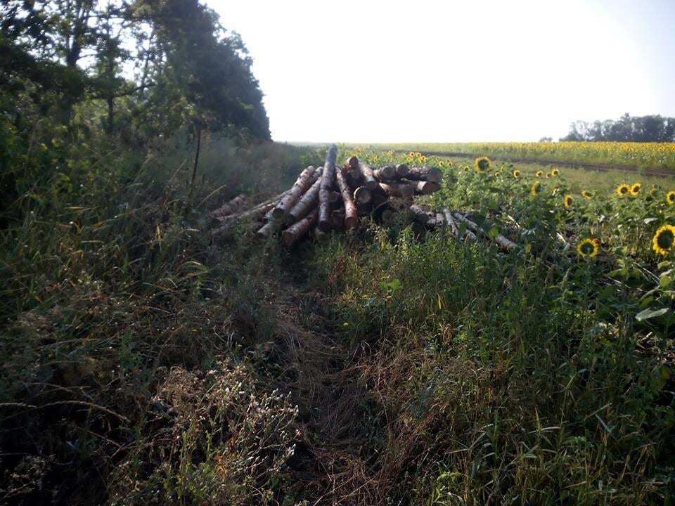 "Нагадує літо 14 року": волонтер розповів про ситуацію на луганському фронті