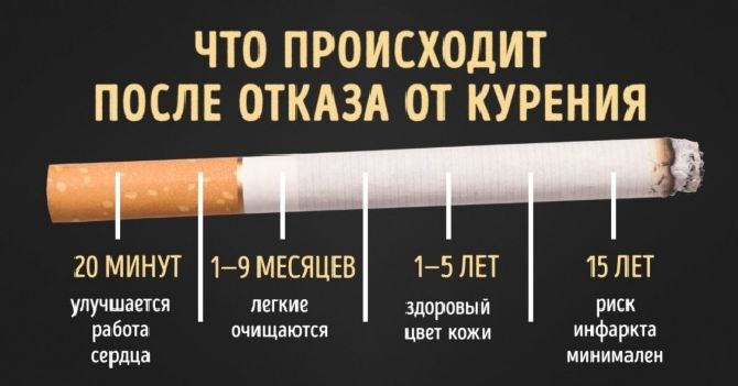 Бросаем курить: установлено, как меняется организм после отказа от вредной привычки