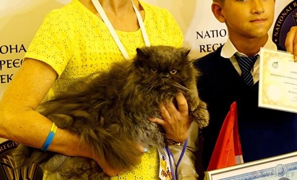 В Одесі помер найстаріший кіт України