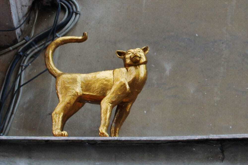 Короли улиц: топ-9 потрясающих памятников кошкам
