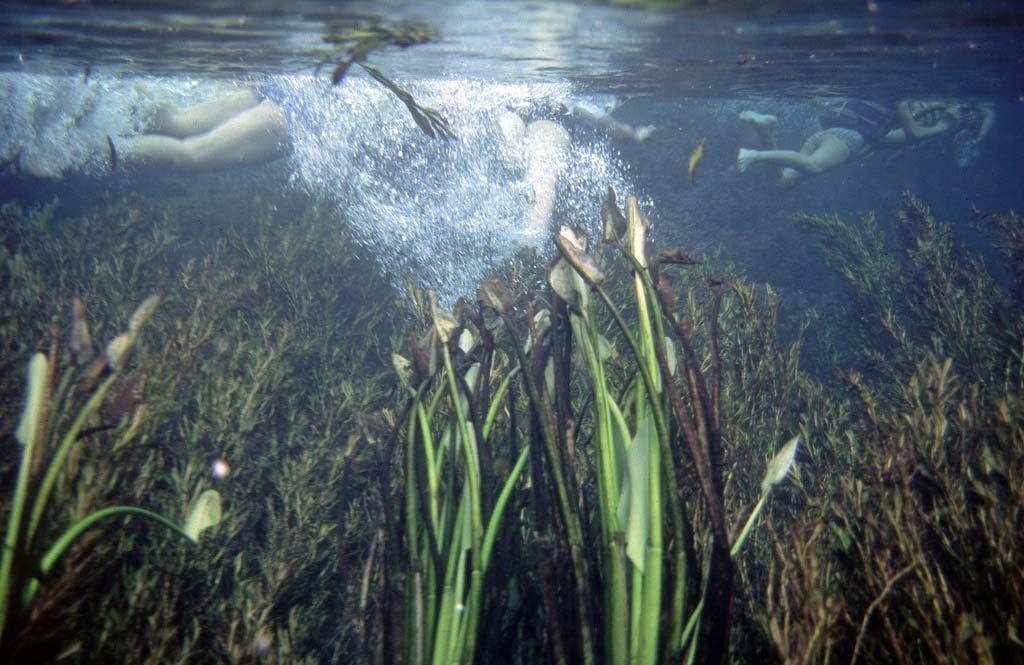 Рай на Землі: дивовижні фото пляжів світу з кришталево чистою водою