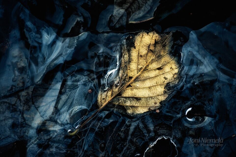 Золотая пора: краски осени на атмосферных снимках фотографа из Финляндии