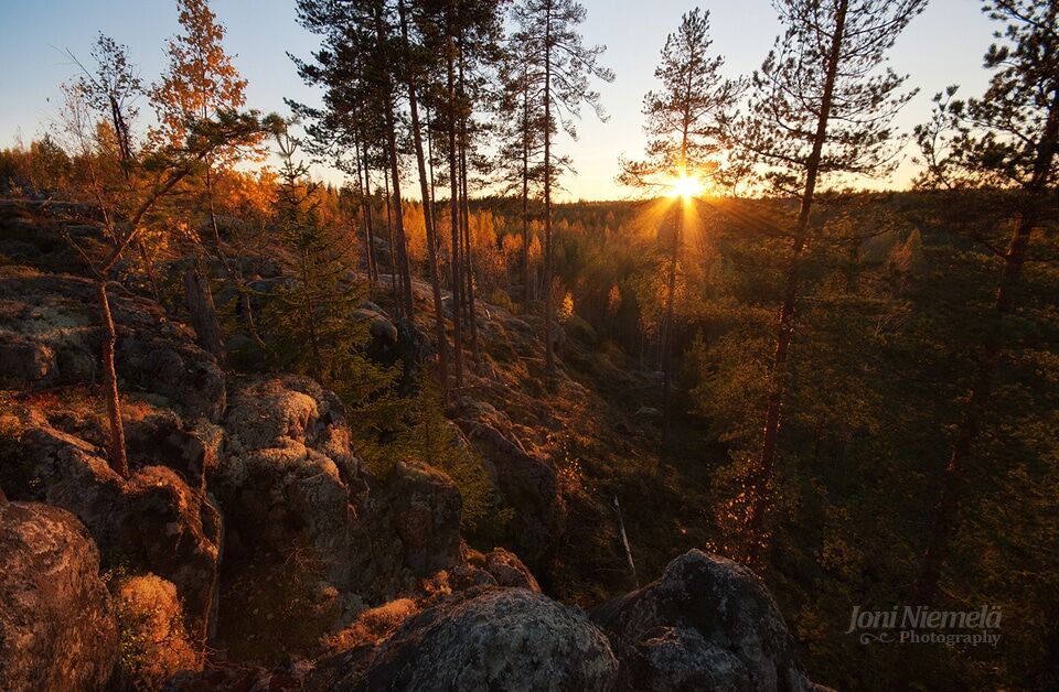 Золотая пора: краски осени на атмосферных снимках фотографа из Финляндии