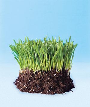 Топ-12 способов избавиться от стойких пятен на одежде