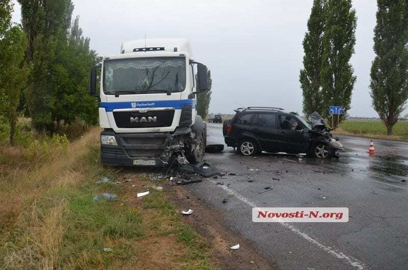 "Їхали на виставку": під Миколаєвом сталася страшна ДТП через собаку