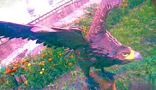 Поделки из пластиковых бутылок - орел.