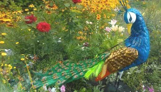 поделки из пластиковых бутылок. Павлин.