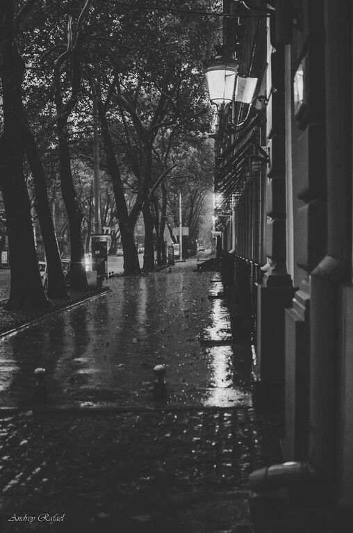 После дождя: красоту Одессы показали в осеннем фотопроекте