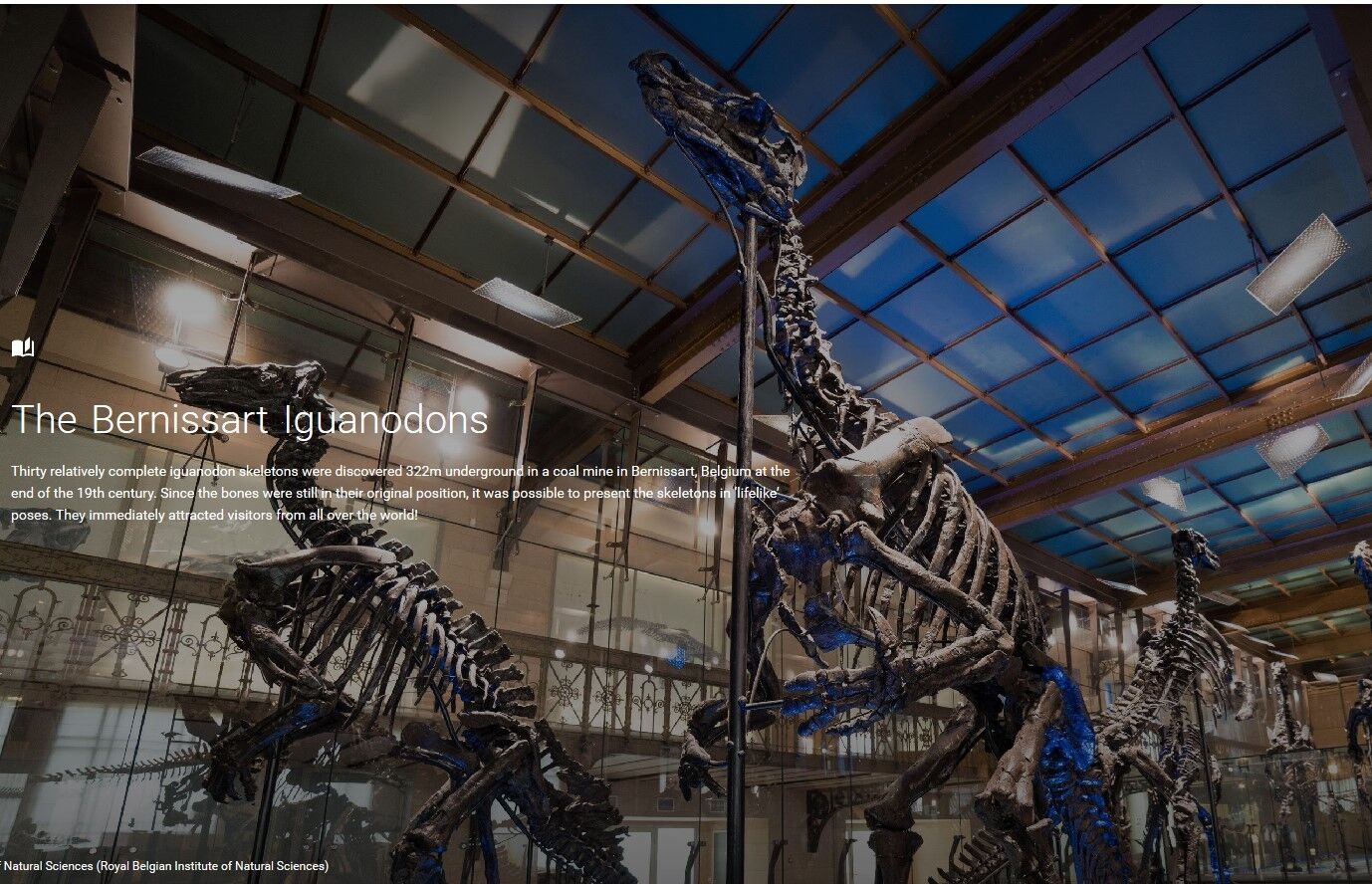 Подорожуй, сидячи дома: Google запустив онлайн-екскурсії по музеях світу - відео
