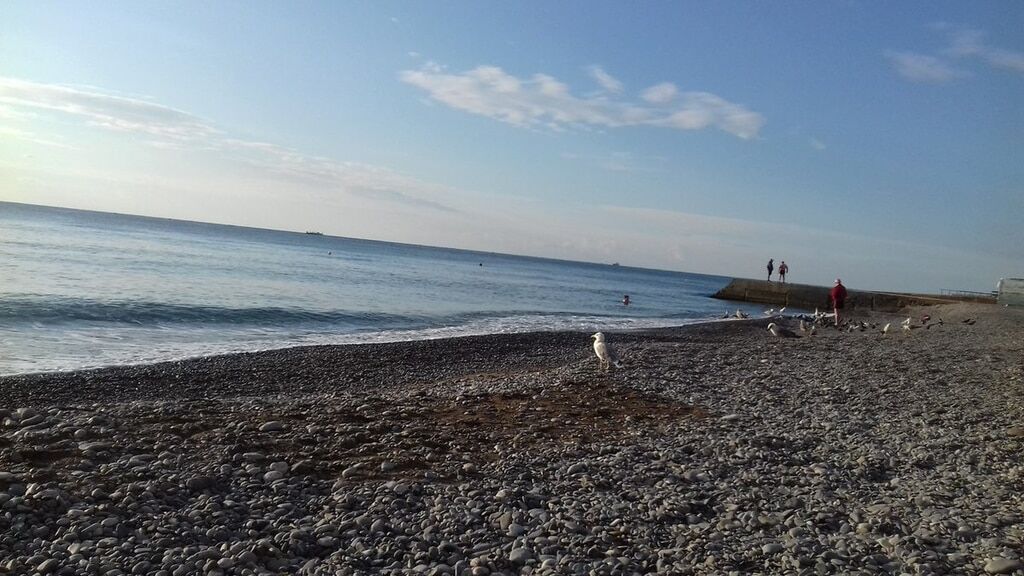 Таки уже точно не сезон: в сети показали грустные осенние пляжи Крыма. Фоторепортаж
