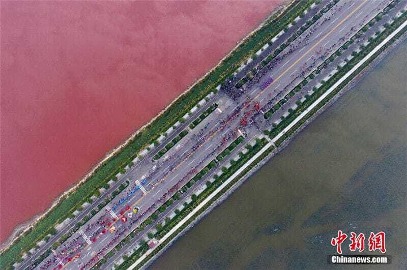 В Китае Соляное озеро окрасилось в розовый цвет: фотофакт