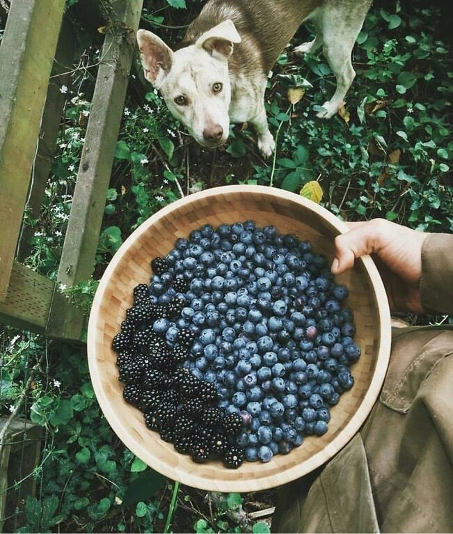 Удивительный Instagram-аккаунт, который заставляет по новому взглянуть на жизнь