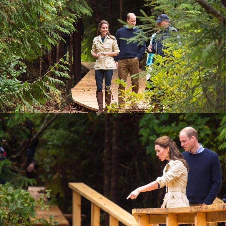Кейт Миддлтон и принц Уильям в Канаде побывали в Дождевом лесу Великого Медведя