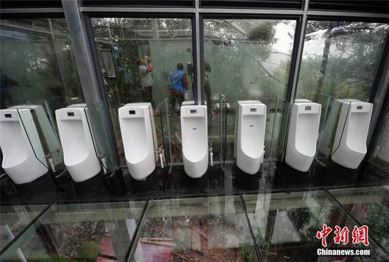 Для души: в Китае появились прозрачные туалеты