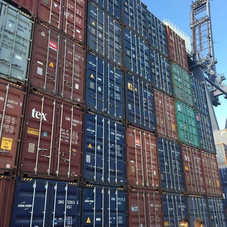 В одесском порту прошли обыски, изъяты десятки контейнеров с контрабандным лесом