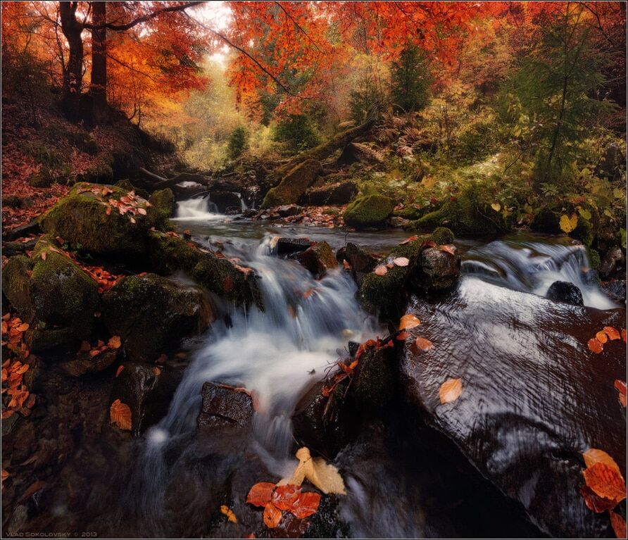 Мальовнича українська осінь: чарівні пейзажі золотої пори року