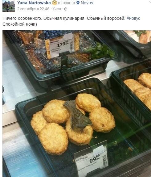 В киевском супермаркете в витрине с биточками разгуливал воробей: опубликовано фото