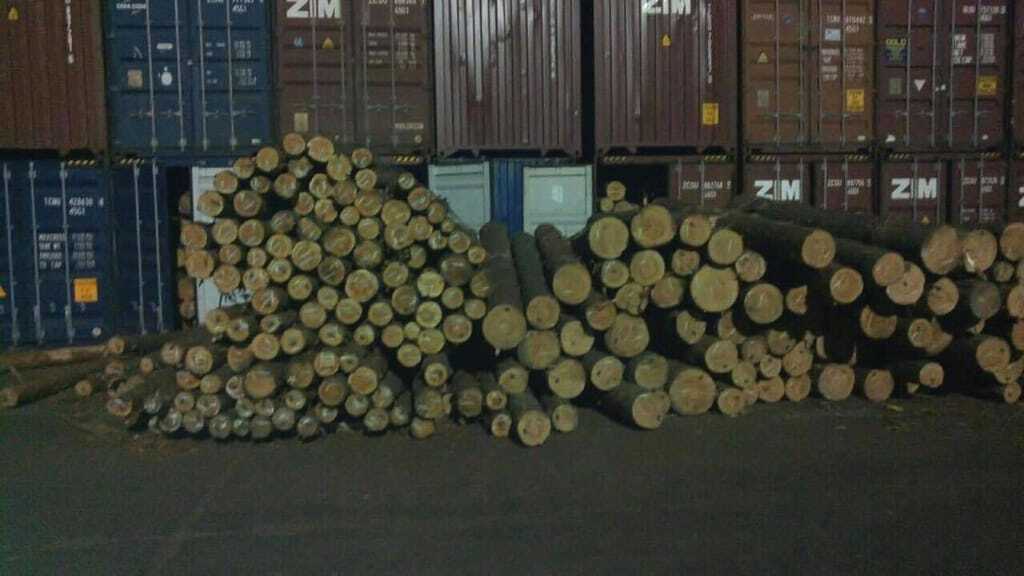 Незаконний експорт лісу: на Одещині суд заарештував майно одного з підприємств