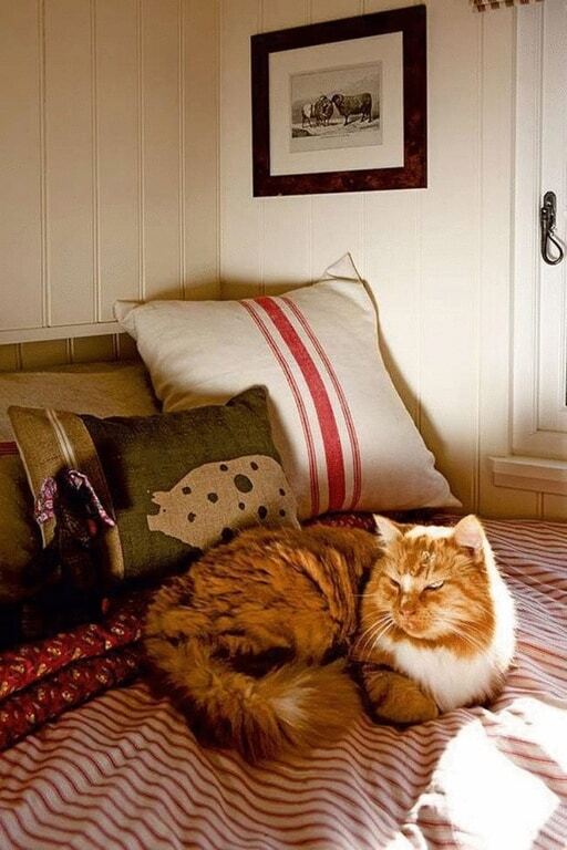 Оазис спокойствия в вашем саду: как оформить вагончик в цыганском стиле 