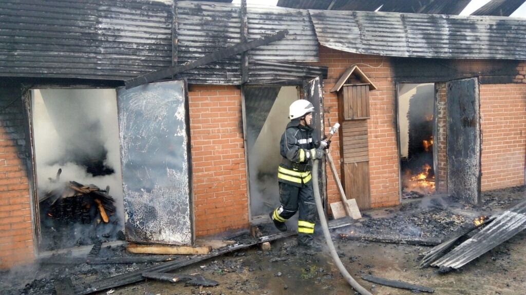 Під Києвом сталася масштабна пожежа