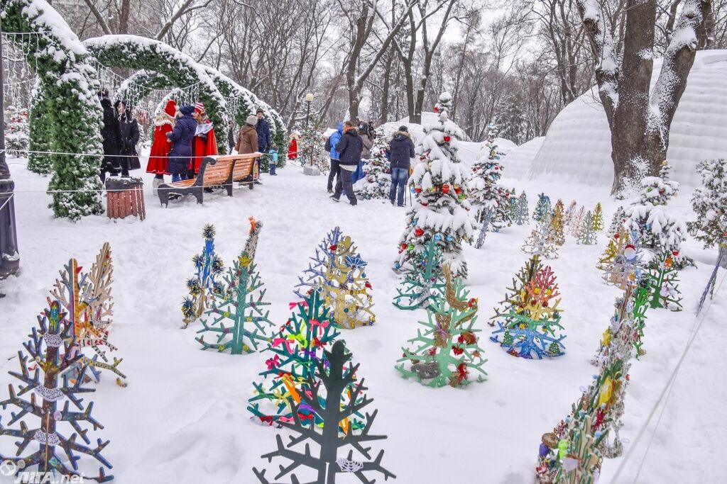 В центре Киева появилась поляна с необычными елками: опубликованы фото