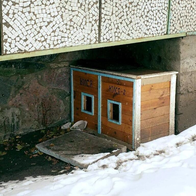 В Киеве придумали уличный "хостел" для кошек: опубликовано фото